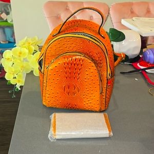 Ostrich like material bookbag with matching wallet
